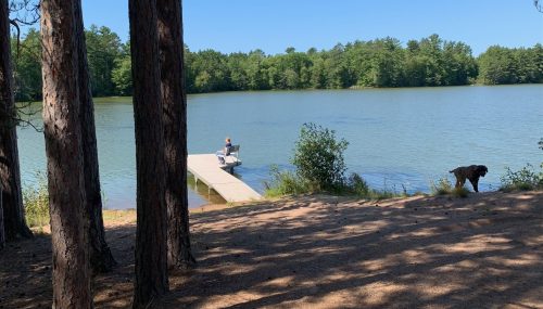 lake and dock